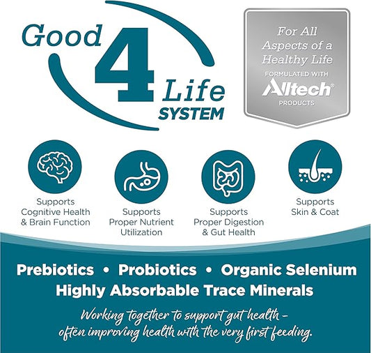 NutriSource Adult Dog Food, Made with Chicken and Rice, with Wholesome Grains, 15LB, Dry Dog Food - PAWPICO