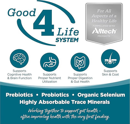 NutriSource Adult Dry Dog Food, Chicken and Rice, 26LB - PAWPICO