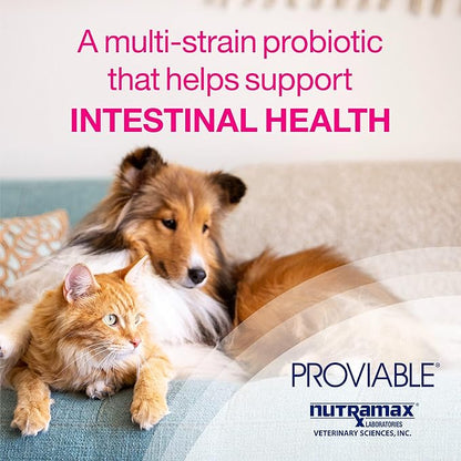Nutramax Proviable Digestive Health Supplement Multi-Strain Probiotics and Prebiotics for Cats and Dogs - with 7 Strains of Bacteria, 80 Capsules, blue NutramaxLaboratories