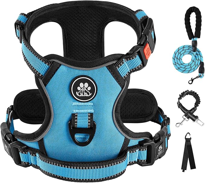 IVY&LANE No Pull Dog Harness for Large Dogs, Dog Vest Harness with Leash, Safety Belt and Storage Strap, Fully Adjustable Harness, 360° Reflective Strip, Soft Handle (Blue, L) IVYLANE