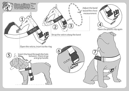 BULLHUG Harness – Made for Larger Chested Dogs Like English Bulldogs, French Bulldogs, Pugs & More. Stops Dogs from Pulling & Choking on Walks (Pink Floral, Medium) BULLHUG