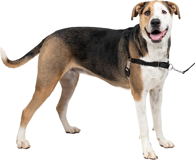PetSafe Easy Walk No-Pull Dog Harness - The Ultimate Harness to Help Stop Pulling - Take Control & Teach Better Leash Manners - Helps Prevent Pets Pulling on Walks, X-Large, Black/Silver PetSafe