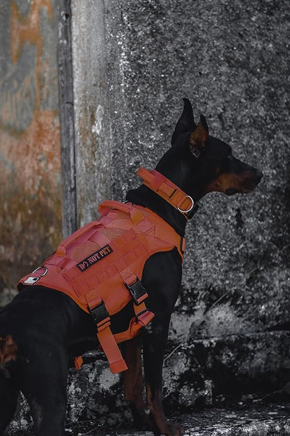 OneTigris Mesh Design Tactical No Pull Dog Harness for Large Dog, Breathable Service Dog Vest Harness with Handle, Military Dog Harness with Molle Panels for Walking Hiking Training (Orange, X-Large) OneTigris