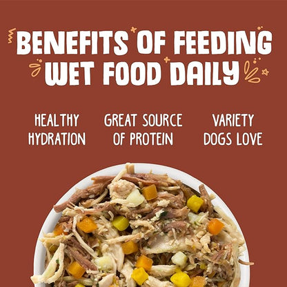 Weruva Classic Dog Food, Wok The Dog with Chicken Breast, Beef & Pumpkin in Gravy, 14oz Can (Pack of 12), Brown - PAWPICO