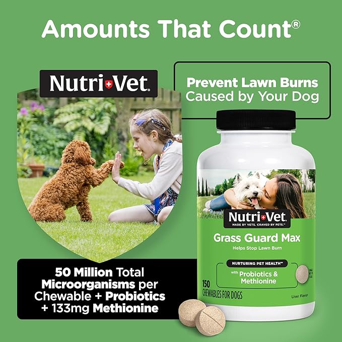 Nutri-Vet Grass Guard Chewables for Dogs - Made with Probiotics and Digestive Enzymes - Prevent Lawn Burn from Urine - 150 Count Nutri-Vet