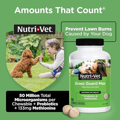 Nutri-Vet Grass Guard Chewables for Dogs - Made with Probiotics and Digestive Enzymes - Prevent Lawn Burn from Urine - 150 Count Nutri-Vet