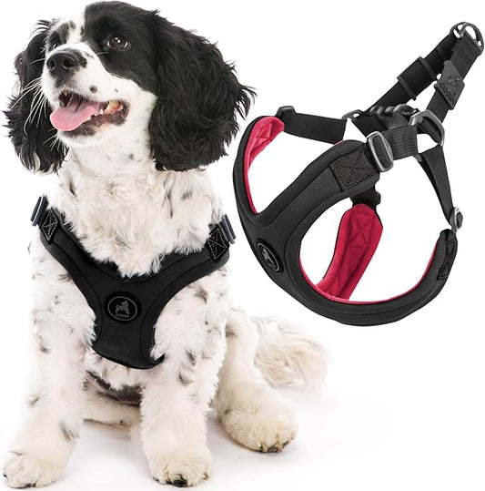 Gooby Escape Free Sport Harness - Black, Small - No Choke Step-in Patented Neoprene Small Dog Harness with Four-Point Adjustment - Perfect on The Go Dog Harness for Medium Dogs No Pull and Small Dogs Gooby