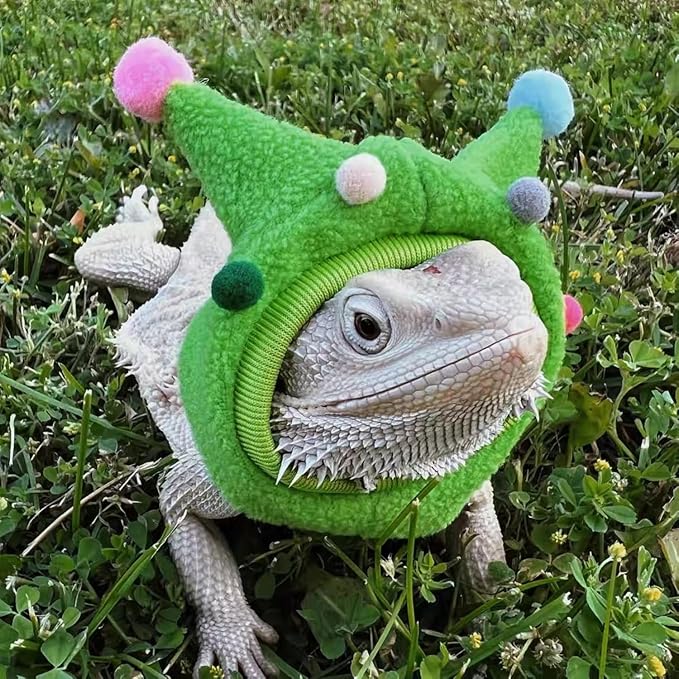 Bearded Dragon Hat - Winter Warm Lizard Cap with Horns & Pom Pom Ball Fun Halloween Outfit Bull Costume Elastic Headwear Accessories Anxiety Relief Ear Muffs for Reptile Fancy Rat Ferret (Green) SEZDEKI