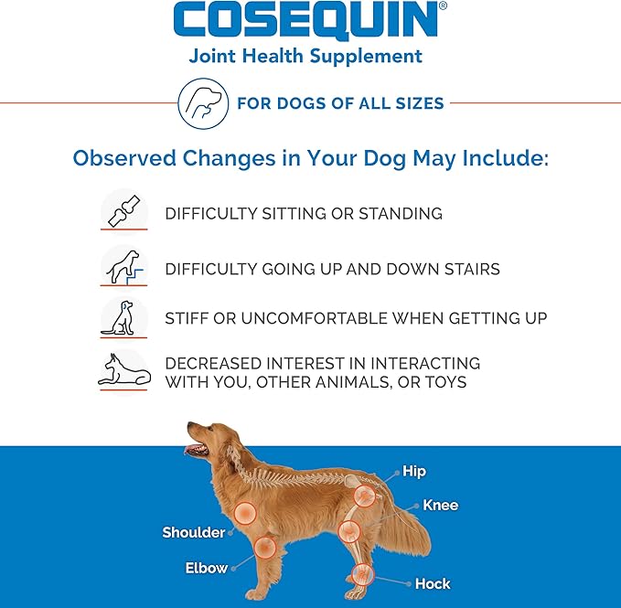 Nutramax Laboratories Cosequin Maximum Strength Joint Health Supplement for Dogs - With Glucosamine, Chondroitin, and MSM, 132 Chewable Tablets NutramaxLaboratories