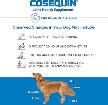 Nutramax Laboratories Cosequin Maximum Strength Joint Health Supplement for Dogs - With Glucosamine, Chondroitin, and MSM, 132 Chewable Tablets NutramaxLaboratories