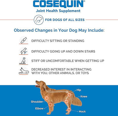 Nutramax Laboratories Cosequin Maximum Strength Joint Health Supplement for Dogs - With Glucosamine, Chondroitin, and MSM, 250 Chewable Tablets NutramaxLaboratories