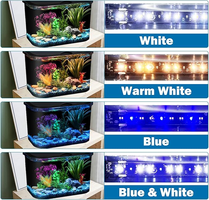 Koller Products 5-Gallon Aquarium Kit with LED Lighting and Power Filter, Ideal for a Variety of Tropical Fish DISCOVERTHEEXCITINGWORLDOFKEEPINGTROPICALFISH