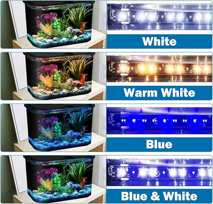 Koller Products 5-Gallon Aquarium Kit with LED Lighting and Power Filter, Ideal for a Variety of Tropical Fish DISCOVERTHEEXCITINGWORLDOFKEEPINGTROPICALFISH