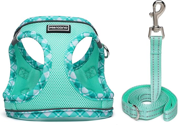 Mercano Soft Mesh Dog Harness and Leash Set, No-Chock Step-in Reflective Breathable Lightweight Easy Walk Escape Proof Vest Harnesses with Safety Buckle for Small Medium Dogs, Cats (Light Green, M) PAWPICO