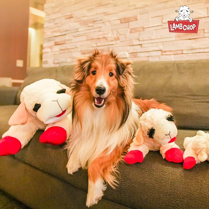 Multipet's Officially Licensed Lamb Chop Jumbo White Plush Dog Toy, 24-Inch - PAWPICO