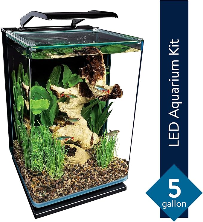 Marineland Portrait Glass LED Aquarium Kit, 5 Gallons, Hidden Filtration,Black Marineland