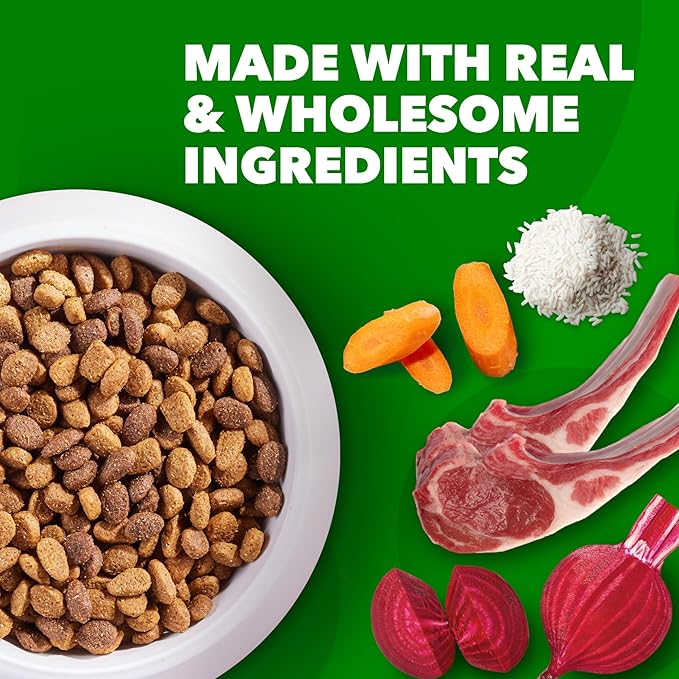 IAMS Minichunks Adult Dry Dog Food Lamb & Rice Recipe Dog Kibble, 15 lb. Bag - PAWPICO