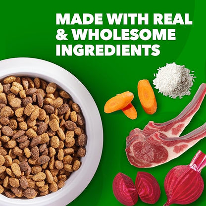 IAMS Minichunks Adult Dry Dog Food Lamb & Rice Recipe Dog Kibble, 15 lb. Bag - PAWPICO