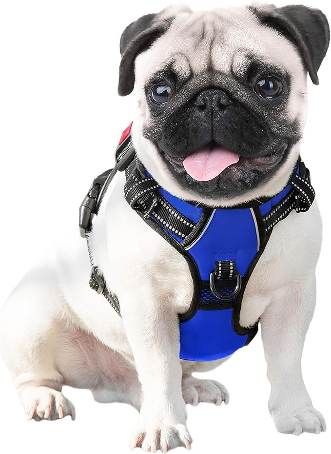PHOEPET No Pull Dog Harness Medium Reflective Front Clip Vest with Handle,Adjustable 2 Metal Rings 3 Buckles,[Easy to Put on & Take Off](XS, Royal Blue) PHOEPET