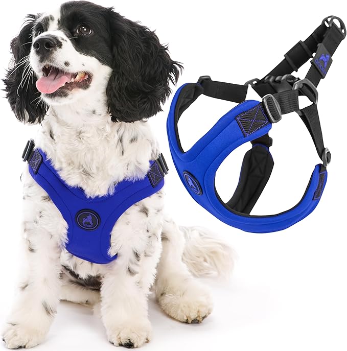 Gooby Escape Free Sport Harness - Blue, Large - No Choke Step-in Patented Neoprene Small Dog Harness with Four-Point Adjustment - Perfect on The Go Dog Harness for Medium Dogs No Pull and Small Dogs Gooby