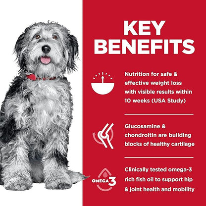 Hill's Science Diet Perfect Weight & Joint Support, Adult 1-6, Weight Management & Joint Support, Dry Dog Food, Chicken & Brown Rice, 25 lb Bag - PAWPICO