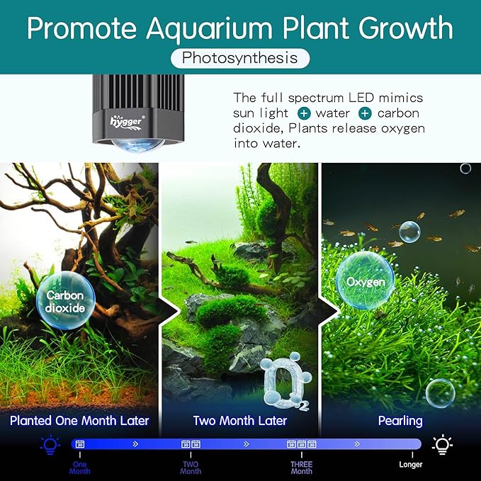 hygger 60W Planted Aquarium Light Full Spectrum RGB COB LED Clip On Fish Tank Grow Light with Mounting Bracket Compatible with Timer Smart Plug for Low-to High Light Aquatic Plants hygger