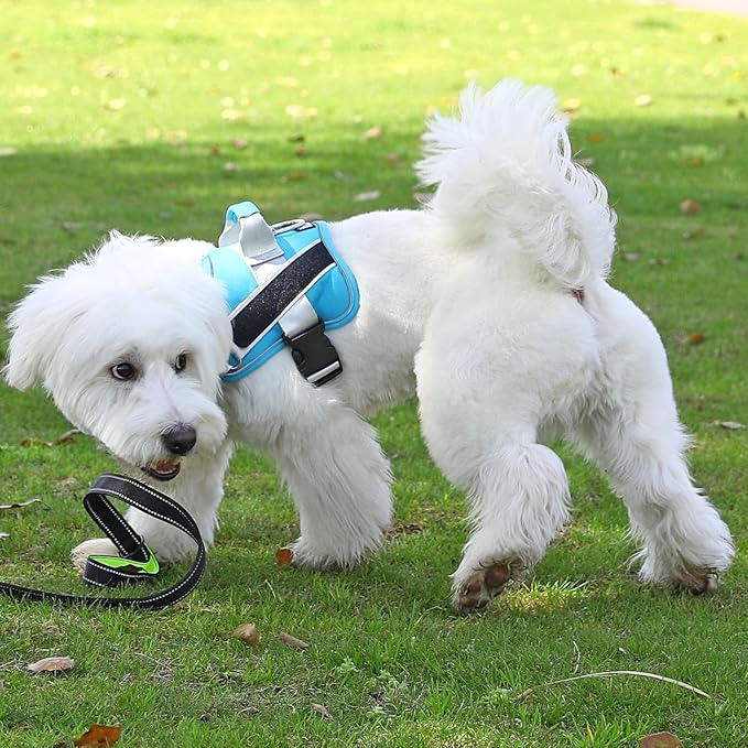 Bolux Dog Harness, No-Pull Reflective Dog Vest, Breathable Adjustable Pet Harness with Handle for Outdoor Walking - No More Pulling, Tugging or Choking (OceanicBlue, XX-Large (Pack of 1)) Bolux