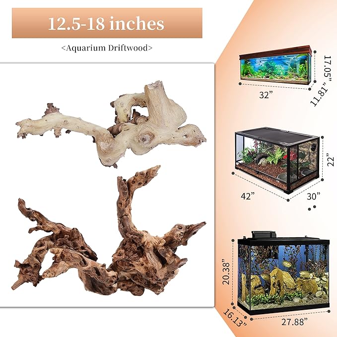 majoywoo Natural Large Driftwood for Aquarium Decor Reptile Decor, Fewer Branches 12.5-18" 2Pcs Majoywoo