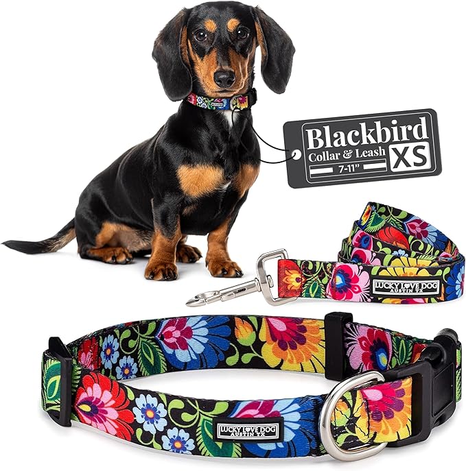 Lucky Love Dog - Easy Click Buckle Dog Collar with Leash Set Combo, Durable & Comfortable Collar for Male & Female Dogs, Pet Collar for Small to Large Dogs, Secure Fit - Blackbird Combo, X-Small LuckyLoveDog