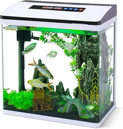 6 Gallon Glass Aquarium Fish Tank Starter Kit with Temperature and Time Display for Betta Fish Featuring Crystal Clear 360° Viewing, Eco-Cycle Filtration, Air Pump Bluecoco