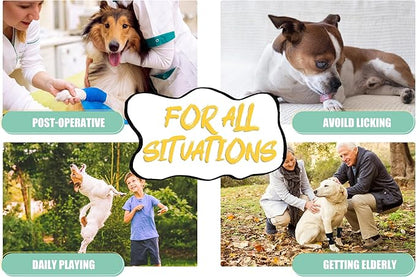 Dog Front Leg Brace Ankle Support for Forelilmb, Canine Dog Wrist Brace Splint, Protects Foreleg Carpus Joint Wounds Heals, Helps with Loss of Stability Caused by Arthritis Lyderpet