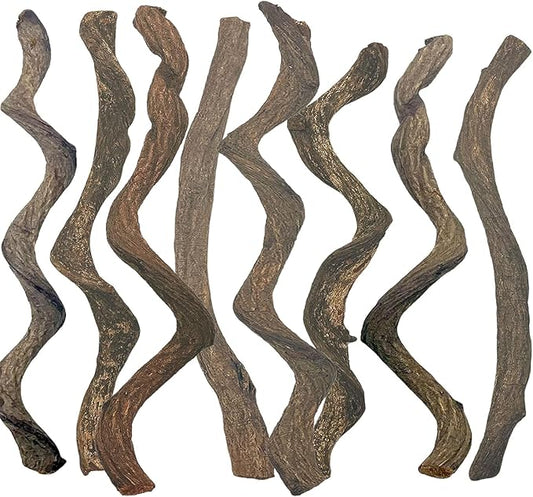 BNOSDM Reptile Forest Climbing Branch Decor Crested Gecko Climb Wood Natural Branches Tree for Snake Frog Chameleon Spider Bearded Dragon Terrarium Habitat Tank Accessories,8PCS BNOSDM