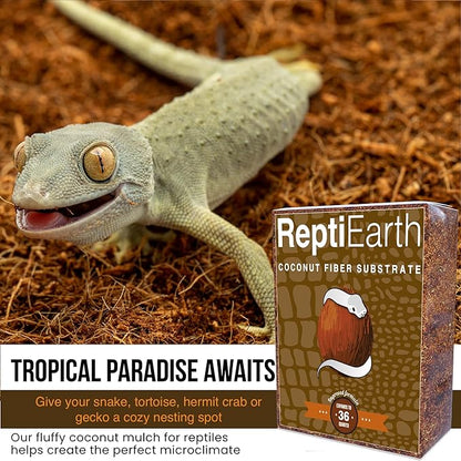 ReptiEarth Reptile Bedding, Fluffy Coconut Fiber Substrate 36 Quart Organic Coco Ready to Use for Bioactive Snake Terrarium, Lizard Tanks with Plants, for Frog, Tarantula or Hermit Crab Habitat (4 Pk) ReptiChipPremiumSubstrate