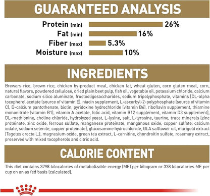 Royal Canin Yorkshire Terrier Adult Dry Dog Food, 2.5 lb bag - PAWPICO