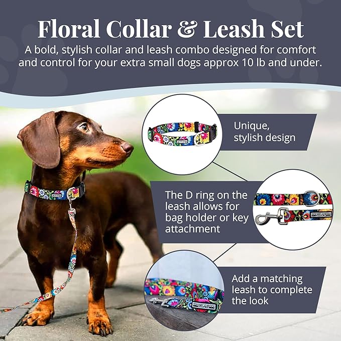 Lucky Love Dog - Easy Click Buckle Dog Collar with Leash Set Combo, Durable & Comfortable Collar for Male & Female Dogs, Pet Collar for Small to Large Dogs, Secure Fit - Blackbird Combo, X-Small LuckyLoveDog