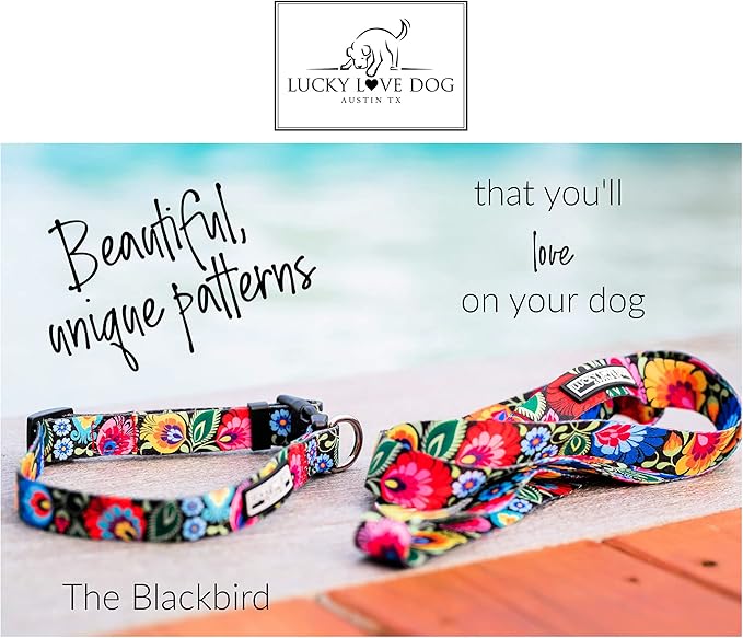 Lucky Love Dog Collars, Vivid Floral Dog Collar, Cute Dog Collar for X-Large Female Dogs, Spring & Summer Themed Flower Print, Blackbird, Extra Large LuckyLoveDog