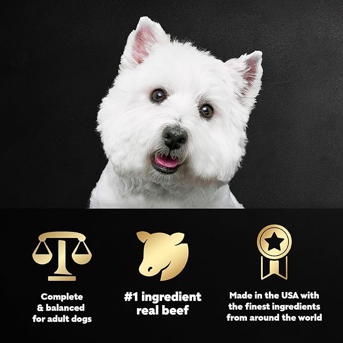 CESAR Adult Wet Dog Food Filets in Gravy New York Strip Flavor, 3.5 oz. Easy Peel Trays, Pack of 24 - PAWPICO