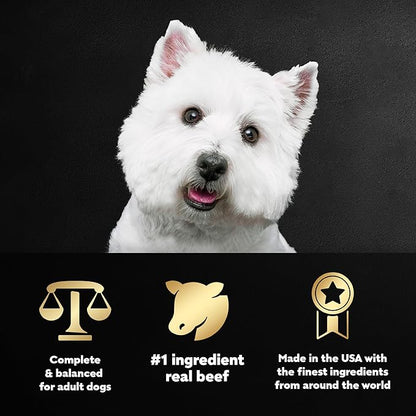 CESAR Adult Wet Dog Food Filets in Gravy Prime Rib Flavor, 3.5 oz. Easy Peel Trays, Pack of 24 - PAWPICO