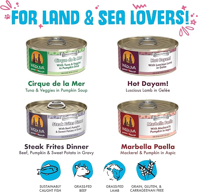 Weruva Classic Dog Food, Variety Pack, Chicken Free, Just 4 Me, Wet Dog Food, 5.5oz Cans (Pack of 24) - PAWPICO