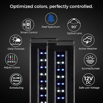 CURRENT USA PRO Dual 18-24" Inch Orbit Marine IC Loop LED Saltwater Reef Marine Aquarium Light with Bluetooth App Control | Wireless Lighting & eFlux Wave Pump Control for Fish Tank (4334) Current+USA