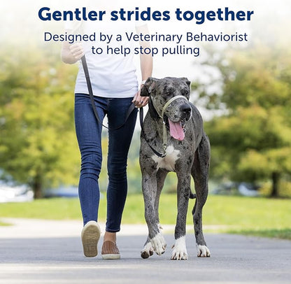 PetSafe Gentle Leader No-Pull Dog Headcollar - The Ultimate Solution to Pulling - Redirects Your Dog's Pulling for Easier Walks - Helps You Regain Control - Large, Fawn PetSafe