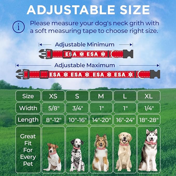 TECEUM Reflective Pet Collar – Red - ESA – M – Basic Nylon Dog Collar – Quick Release Buckle – Fits Small, Medium and Large Dogs, Puppies, Cats – ESA & Service Dog Options TECEUM