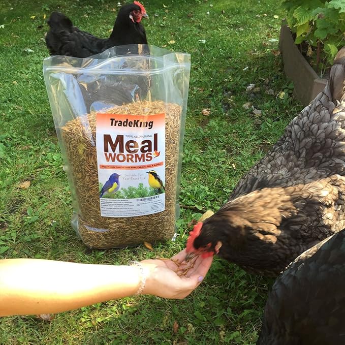 1 lb Dried Mealworms - High Protein Treat for Wild Birds, Chicken, Fish & Reptiles TradeKing