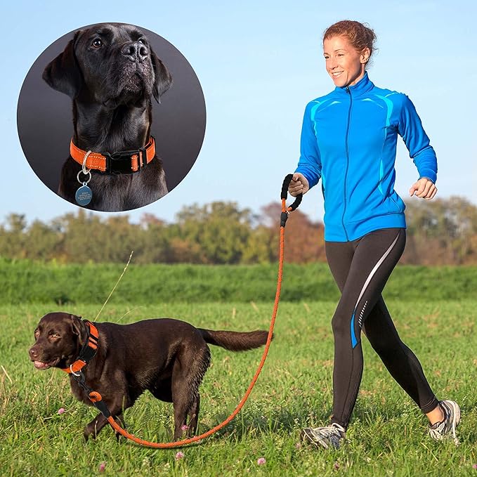 Reflective Dog Collar Padded with Soft Neoprene Breathable Adjustable Nylon Dog Collars for Small Medium Large Dogs (Small (Pack of 1), Orange Collar+Leash) ladoogo