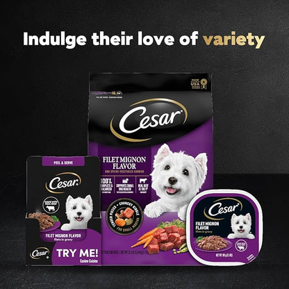 Cesar Filets in Gravy Wet Dog Food Filet Mignon Flavor, 1.76 oz. Mini-Pouch, 20 Pack - PAWPICO