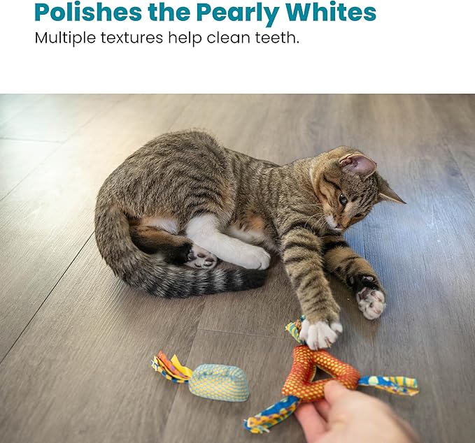 Petstages Dental Health Chews Pair - PAWPICO