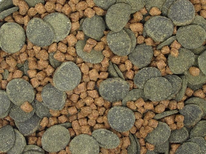 Micro Mix - Sinking Blended Diet for Snails, Shrimp & Bottom Feeding Fish (3 oz (85g)) InvertAquatics