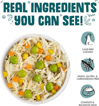 Weruva Classic Dog Food, Funky Chunky Chicken Soup with Chicken Breast & Pumpkin in Gravy, 14oz Can (Pack of 12) - PAWPICO