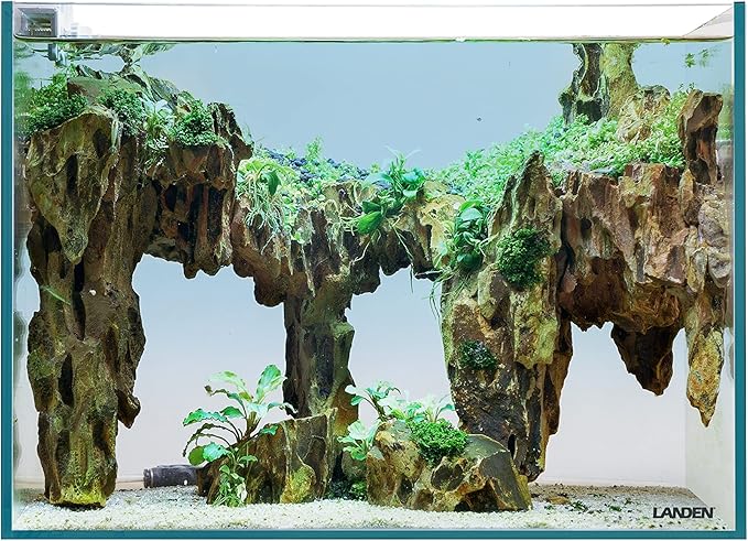 Landen 60P 23 Gallon Rimless Low Iron Aquarium Tank, W23.6×D15.7×H15.7 in(60x40x40cm) 8mm Thickness Landen