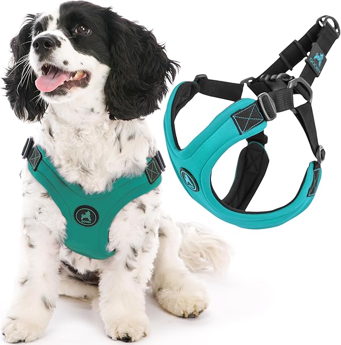 Gooby Escape Free Sport Harness - Turquoise, Large - No Choke Step-in Patented Neoprene Small Dog Harness, Four-Point Adjustment - Perfect on The Go Dog Harness for Medium Dogs No Pull and Small Dogs Gooby